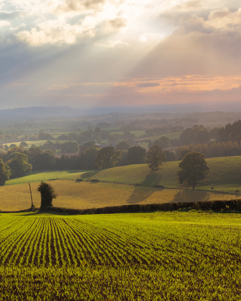 kumyy-bienes-raices-bolivia